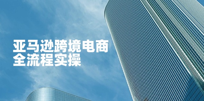 （14252期）亚马逊跨境电商全流程实操，教你从零开始，掌握店铺运营与广告技巧-小y轻创