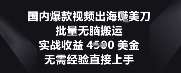 国内爆款视频出海挣美刀，批量无脑搬运，实战收益4.5k，无需经验直接上手-小y轻创