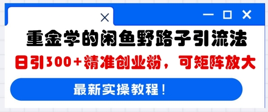 重金学的闲鱼野路子引流法，日引300+精准创业粉，可矩阵放大-小y轻创