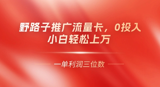 0门槛推广流量卡,一单收益上百,0投入,小白月入过W-小y轻创