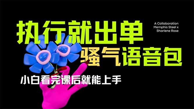 （14170期）爆火全网的开车导航骚气语音包,只要执行就出单，小白看完课程就能实操...-小y轻创