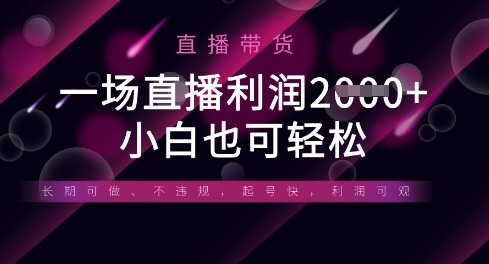 半无人直播带货，一场利润数张，适合所有平台玩法，小白也可轻松-小y轻创